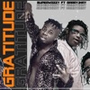 Gratitude (feat. Barry Jhay) - Single, 2020