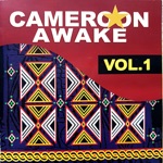 Cameroon Awake, Vol. 1