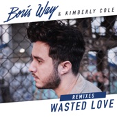 Wasted Love (Gaba Remix) artwork
