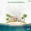 Palm Trees - EP album lyrics, reviews, download