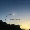 Summer Break - Single album lyrics, reviews, download