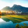 Calm Wind - Single