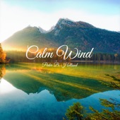 Calm Wind artwork