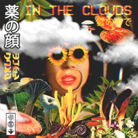 Drugface - In the Clouds artwork