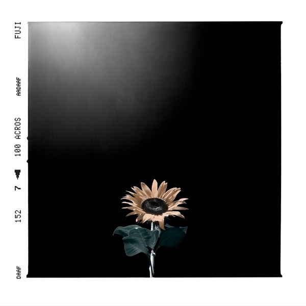 摄影江湖 cover