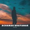 Achanak Bhayanak - Raptor lyrics