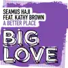 A Better Place (feat. Kathy Brown) - Single album lyrics, reviews, download