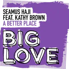 A Better Place (feat. Kathy Brown) - Single by Seamus Haji album reviews, ratings, credits