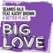 A Better Place (Extended Mix) [feat. Kathy Brown] - Seamus Haji lyrics