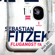 Sebastian Fitzek - Flugangst 7A