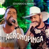 Agronopinga (Ao Vivo) - Single