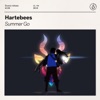 Summer Go by Hartebees iTunes Track 2