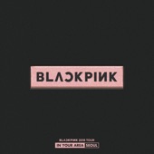 BLACKPINK 2018 TOUR 'IN YOUR AREA' SEOUL (Live) artwork