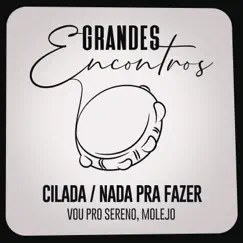 Cilada / Nada Pra Fazer - Single by Grandes Encontros, Vou pro Sereno & Molejo album reviews, ratings, credits