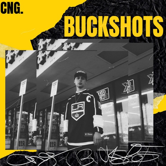 Cover artwork for Buckshots