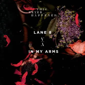 In My Arms by Lane 8 song reviws