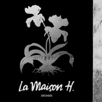 La Maison H. - Orchidée artwork