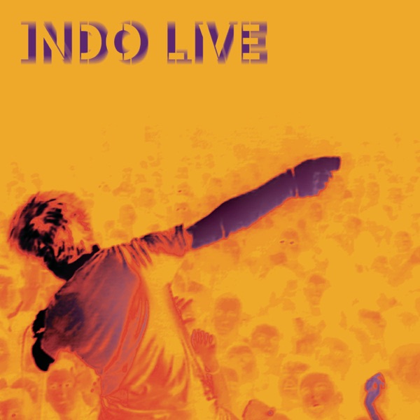 Indo Live (Live) - Indochine