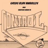Gyedu-Blay Ambolley - Control