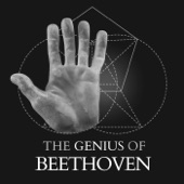 Beethoven -The Genius Of artwork
