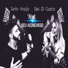 Seu Aconchego (feat. Seir di Castro) - Single