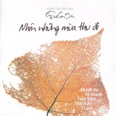 Nhìn Những Mùa Thu Đi artwork