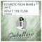 What the Funk - Futuristic Polar Bears & Jay C lyrics