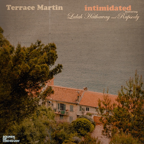 Intimidated (feat. Lalah Hathaway) - Single - Terrace Martin & Rapsody