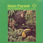 Walter Wanderley - Taste of Sadness