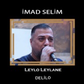 Leylo Leylane Delilo artwork
