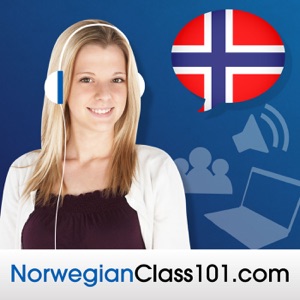Basic Bootcamp #3 - Useful Phrases for Learning Norwegian