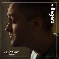 Villagers - A Trick of the Light (Mahogany Sessions) artwork