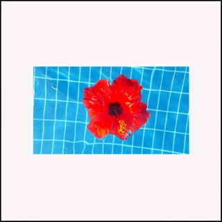 Petals (feat. William Lucas)