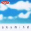 Sky Mind - Single artwork