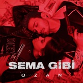 Sema Gibi artwork