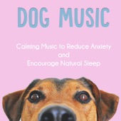 Dog Music: Calming Music to Reduce Anxiety and Encourage Natural Sleep artwork