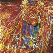 Fogo de Amor - A Explosão do Bicho artwork
