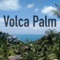 Volca Palm - Bruno Corti lyrics