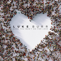 Luke Burr - What You Won't Do For Love artwork