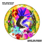 Keep On Rising (Big Gigantic Remix) artwork