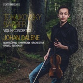 Violin Concerto in D Major, Op. 35, TH 59: I. Allegro moderato - Moderato assai artwork