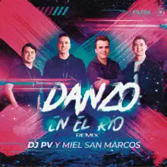 Danzo en El Río (Remix) - Single by DJ PV & Miel San Marcos album reviews, ratings, credits