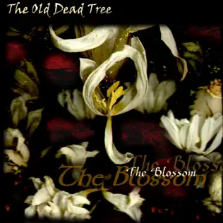 lataa albumi The Old Dead Tree - The Blossom