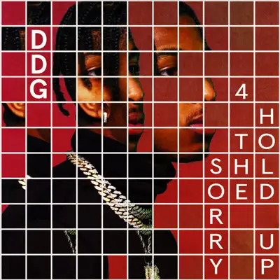 Sorry 4 the Hold Up - EP - DDG