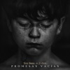 Promesas Vacías (feat. J-Con) - Single