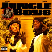 Jungle Boys artwork