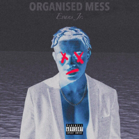 Evans Junior - Organized Mess artwork