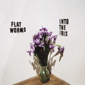 Flat Worms - At the Citadel