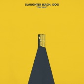 Slaughter Beach, Dog - Fair Shot