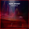 Kamil Brandt - Invisible